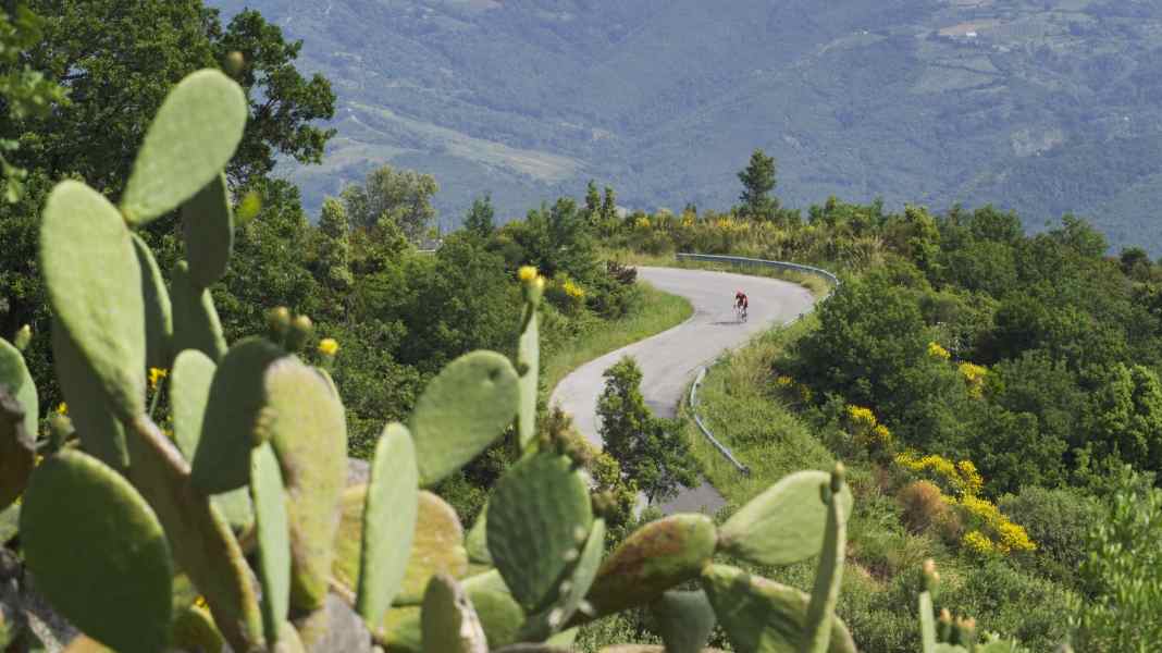 Italie : Cilento