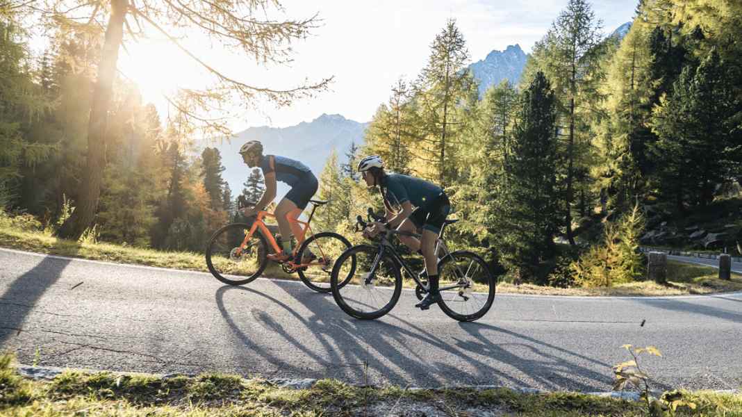 TOUR 12/2019 : Test de vélos marathon - Les vélos marathon les plus populaires dans un test comparatif