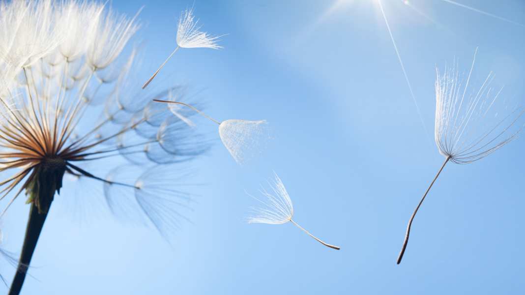 Hay fever & asthma: 19 tips for cyclists with allergies