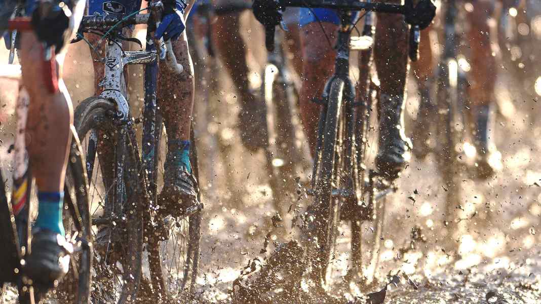 Test 2015: 11 cross bikes