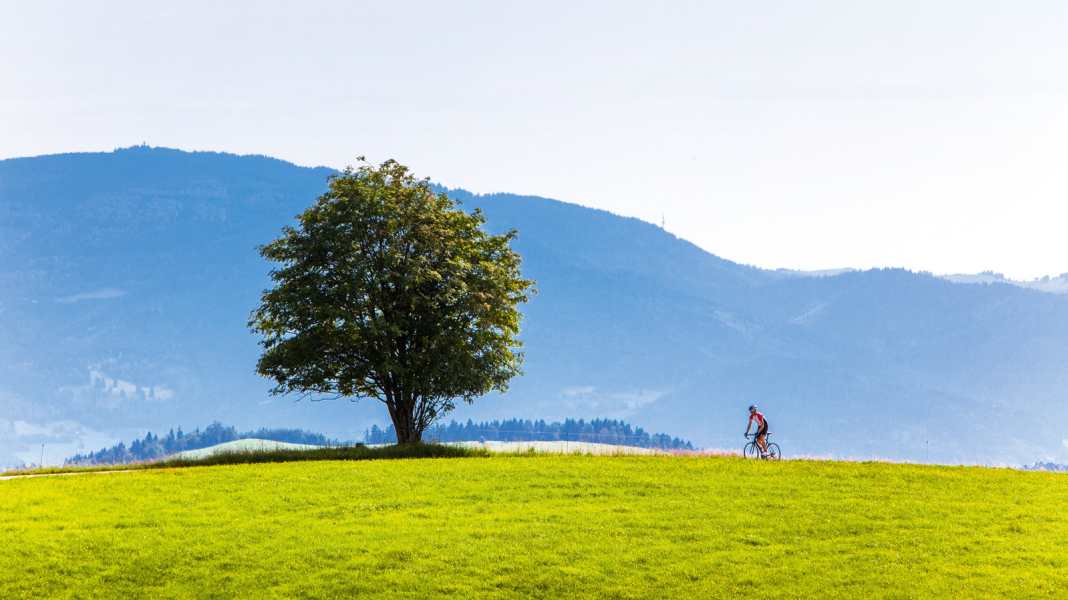 Deutschland: Höhenzüge im Mittleren Schwarzwald - Fast wie in den Alpen: Rennradtouren im Schwarzwald