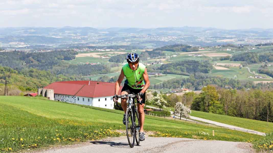 Training with over 50s