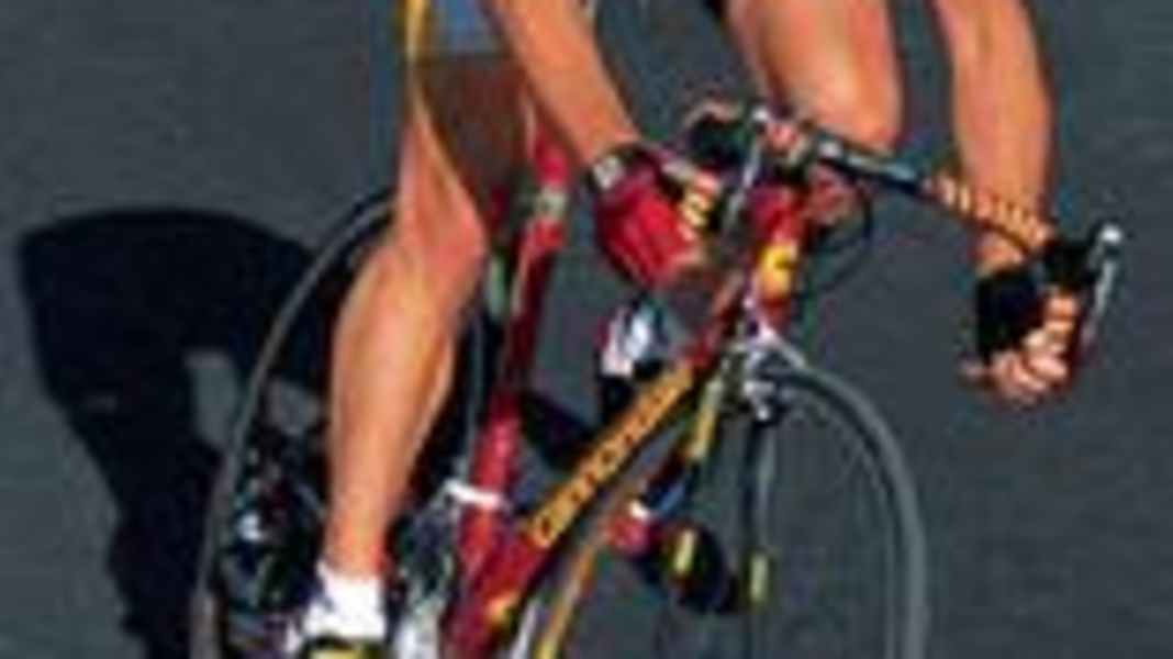 Trainingsbereiche, Teil 2: Der Entwicklungsbereich (EB)