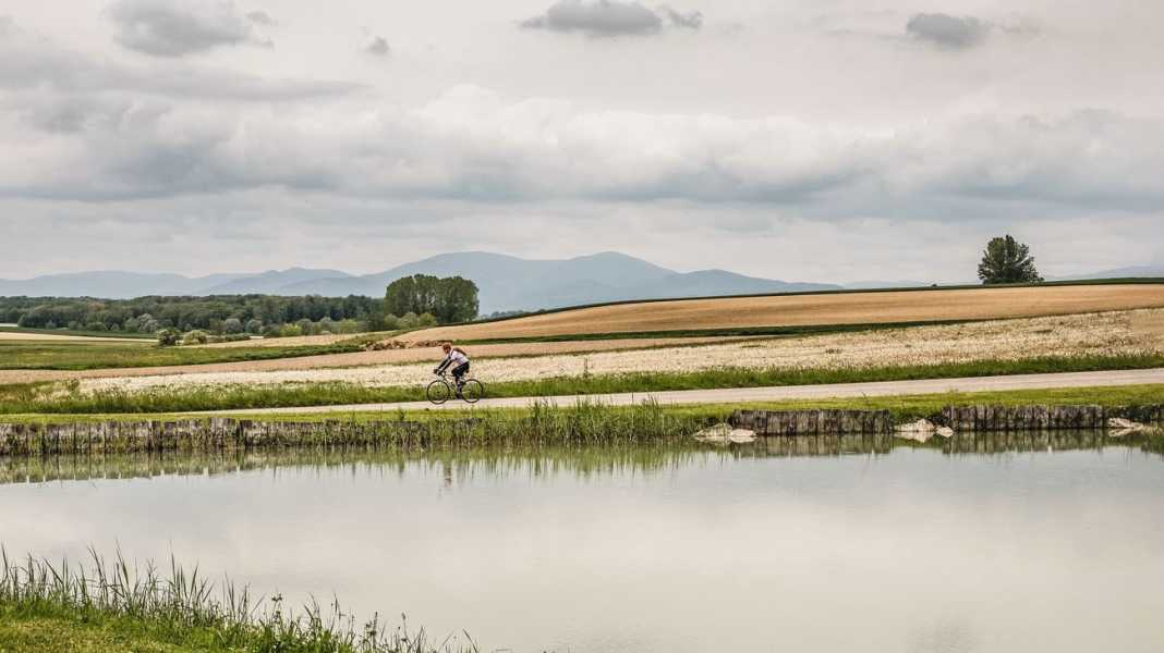 France, Sundgau: Road bike tours in southern Alsace - where Germany, Switzerland and France meet