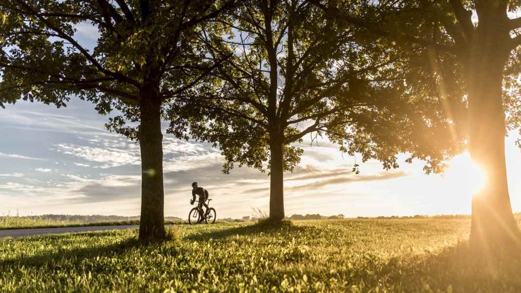Rennradfahrer: Was tun in Zeiten der Corona Krise? - Sechs Vorschläge für Rennradfahrer