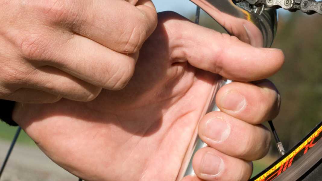 Einzeltest: Birzmann Kettennieter