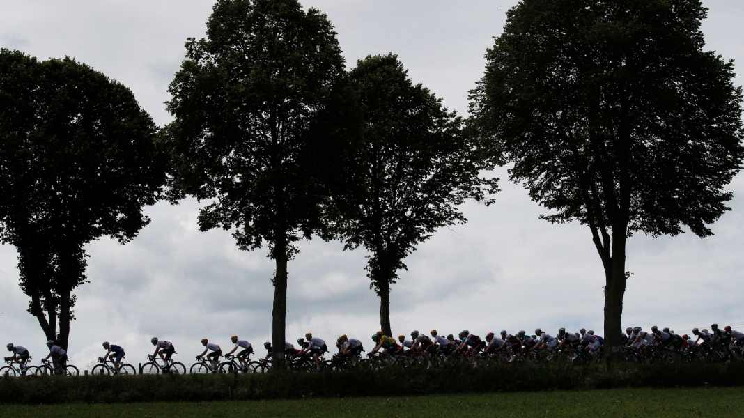 Bassons exprime ses critiques - Combattant antidopage : le cyclisme vit "dans un grand mensonge