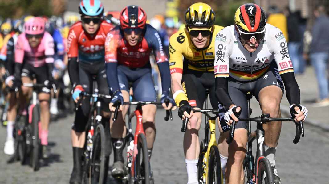 Politt avant Roubaix : "Dieu merci, pas de montagnes sur le chemin".