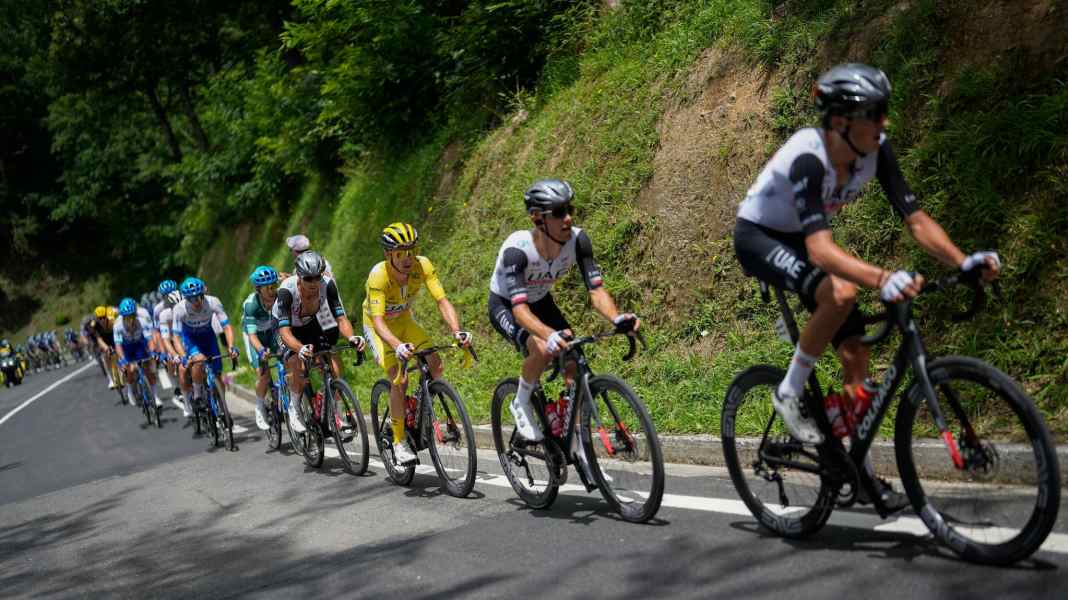 Tour de France : les cyclistes professionnels déplorent la présence de punaises sur la route