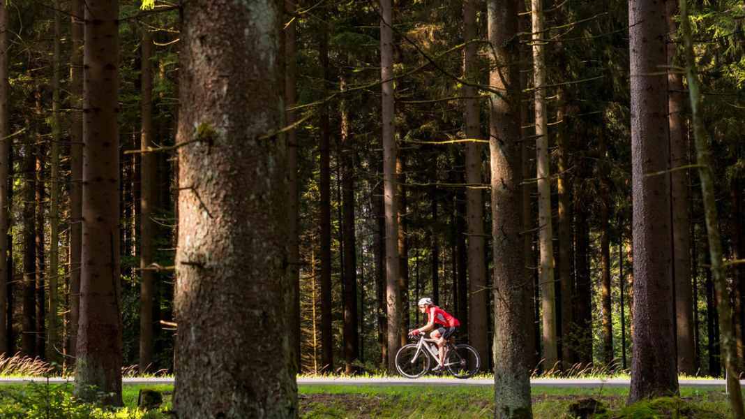 Thüringer Wald und Fichtelgebirge - Beaux tours de vélo de course dans la forêt de Thuringe et le nord de la Bavière