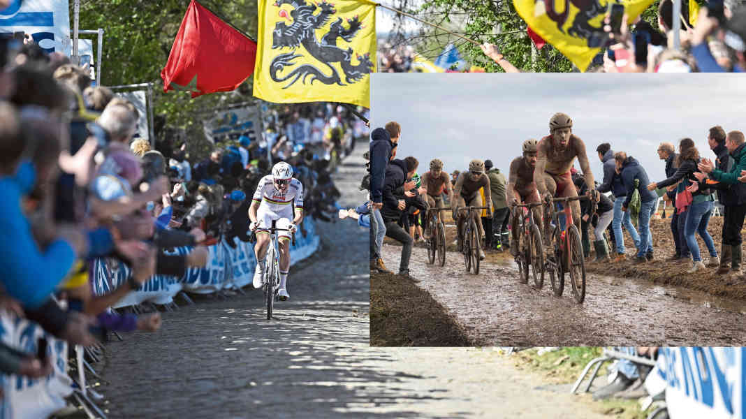 Tour des Flandres vs. Paris-Roubaix : voici les différences