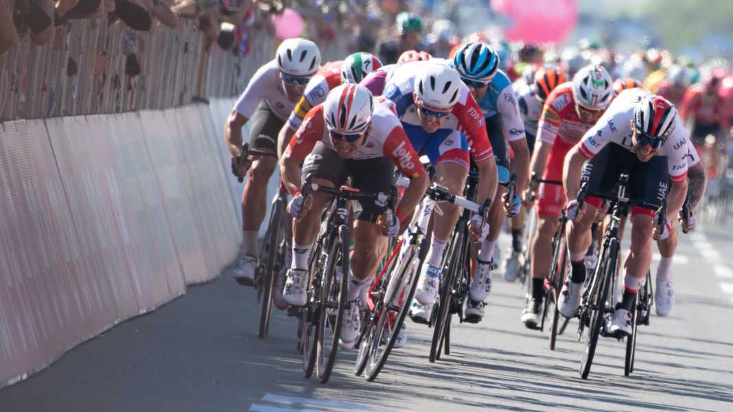 Giro d'Italia 2026: Preview stage 12: Comeback of the sprinters