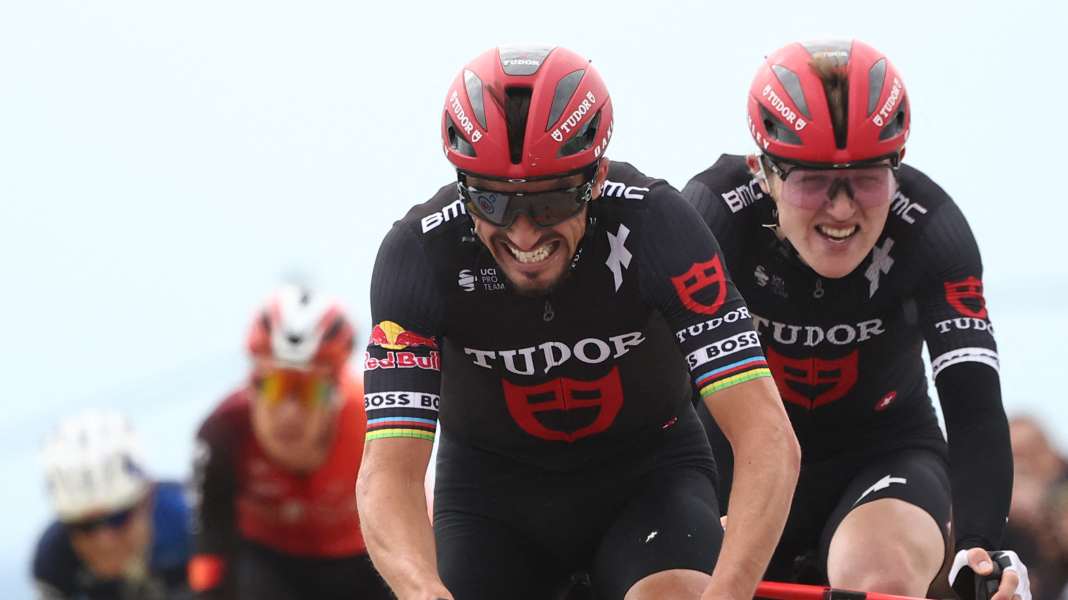 Tour de France 2025: Wildcards vergeben - Teams stehen fest
