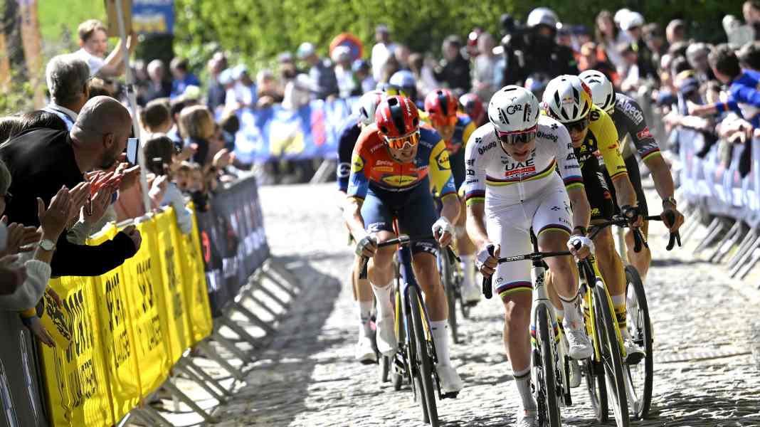 Le Tour des Flandres 2026 : Contrôle de forme des stars pour le monument du cyclisme