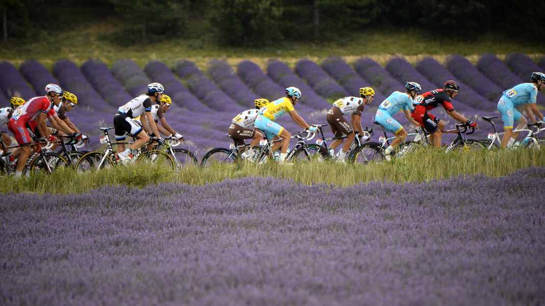 Tour de France 2025 - Stage 17: Voigt's preview: Last sprint chance of this Tour