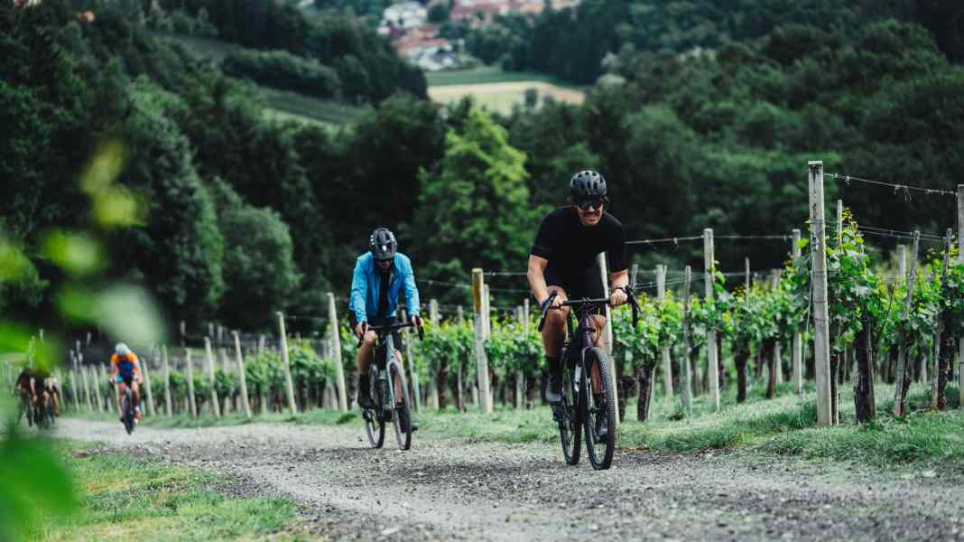 Gravelei 2026: Gestörte und Wilde in der Südsteiermark