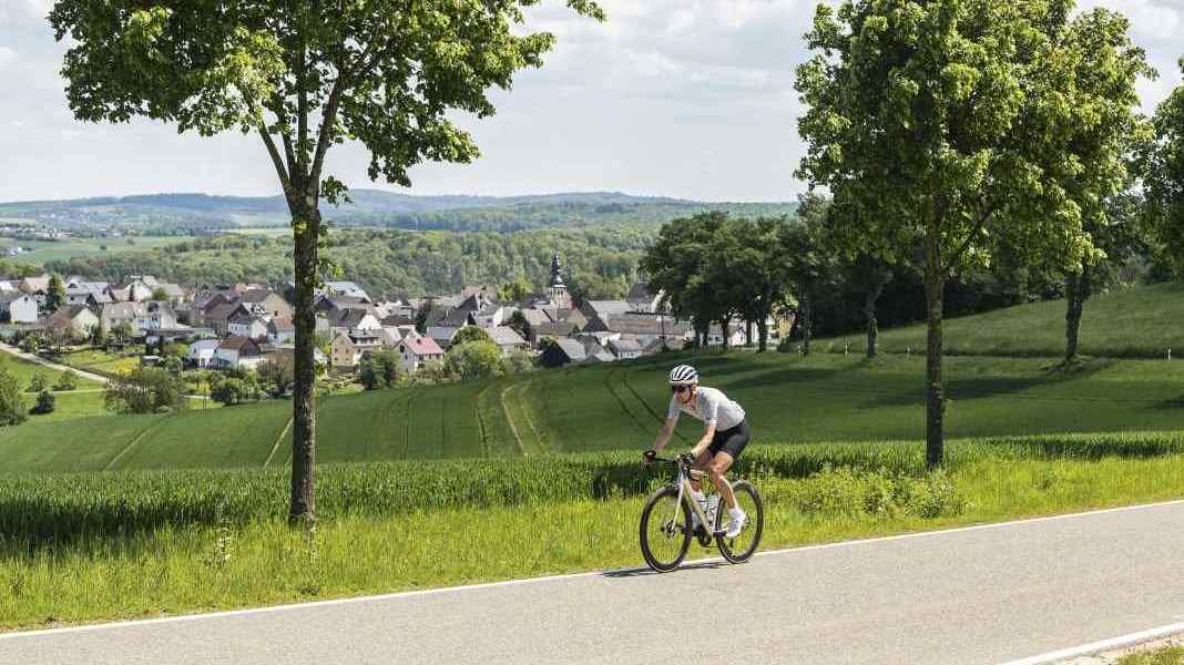Randonnées à vélo de course en Allemagne : les cinq plus belles régions pour des excursions soignées à Pâques