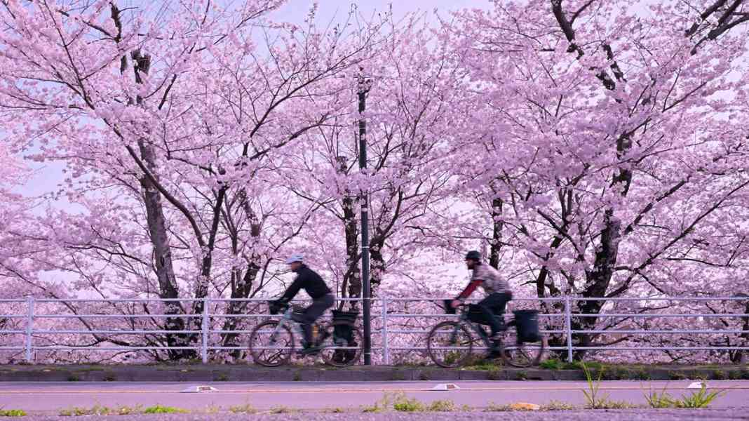 Bike Film Tour 2026: Start of the season in the cinema - an experience for cyclists