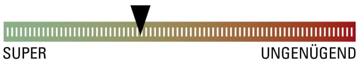   Test 2018: Mountainbike Protektoren Bluegrass Skinny