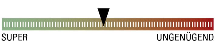   Unsere Bewertung für den Race-Schuh Fizik M3B.