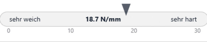 Hintere Rahmensteifigkeit des Last Coal.