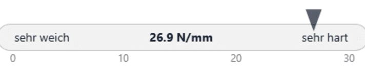 Hintere Rahmensteifigkeit des Grin One.