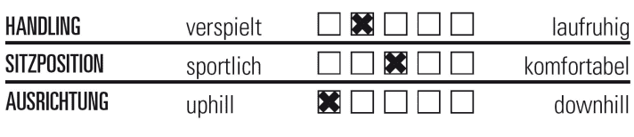   So fährt sich das Koga Colmaro Allroad.