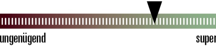 Für den reinen MTB-Einsatz ist die Anfangstönung etwas dunkel. Die Schutzwirkung der großen Gläser ist super.