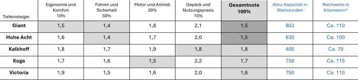 All individual scores for the SUV e-bikes at a glance.