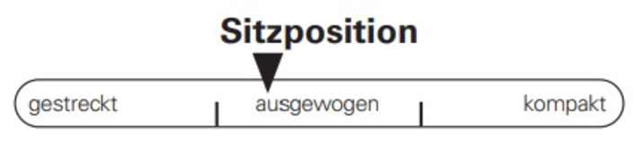 Die Sitzposition des Canyon Spectral kommt ohne Extreme aus.
