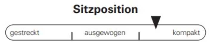 Die Sitzposition fällt auf dem Propain Spindrift kompakt aus.