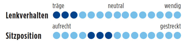   Focus Mares AX Disc Commuter