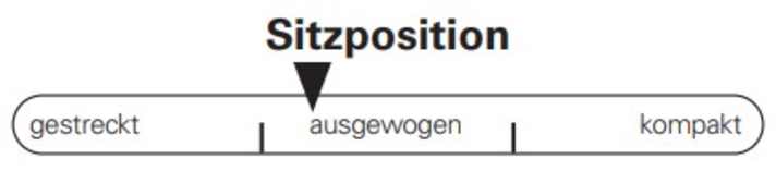 Die Sitzposition des Cube Reaction 2025 fällt sportlich aber nicht extrem aus.