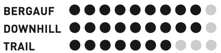 Giant Reign E+1 - Riding behaviour