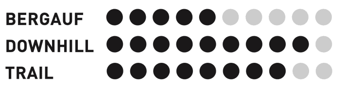 Specialized Kenevo SL Comp - Riding behaviour