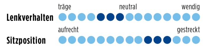  Test 2015: Focus Cayo 7.0