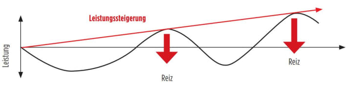 Das Prinzip der Superkompensation.