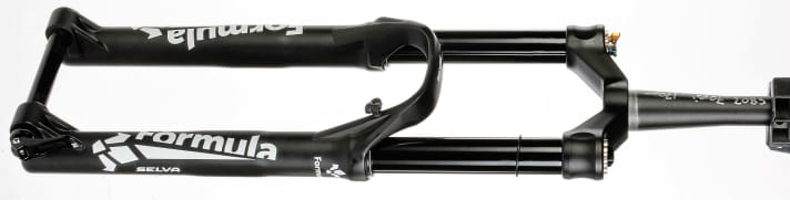   Formula Selva EX