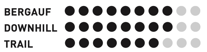 Stevens E-Inception ED 8.7.1 GTF - Riding behaviour 