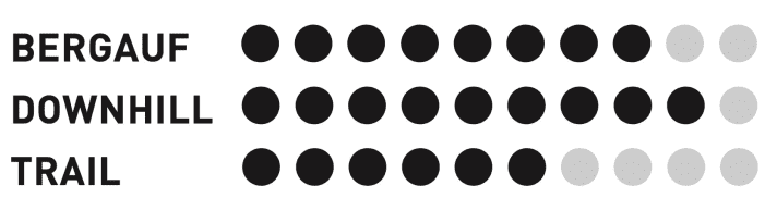 Radon Deft 10.0 - Riding behaviour