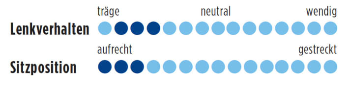   Rose Team DX Cross Randonn. 3000