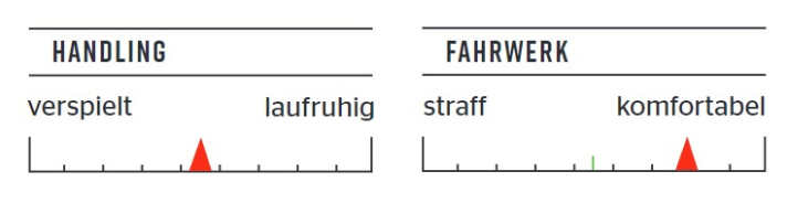 Freeride-Bewertung des Propain Hugene