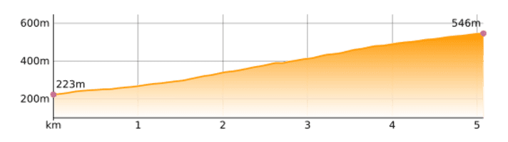 Königstuhl elevation profile