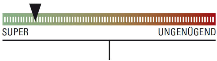   MTB-Helm Cube Badger