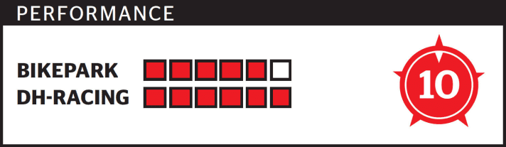   Test 2015 Big Bikes: Specialized Demo 8 S-Works  (FREERIDE-RANKING: Die Zahl (maximal 10 Punkte) gibt den Gesamteindruck wieder und ist keine Addition von Downhill- und Bikepark-Punkten.)