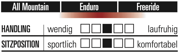 YT Capra 29 Core 1 - Charakteristik