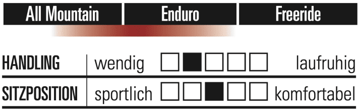 Propain Tyee Custom - Characteristics