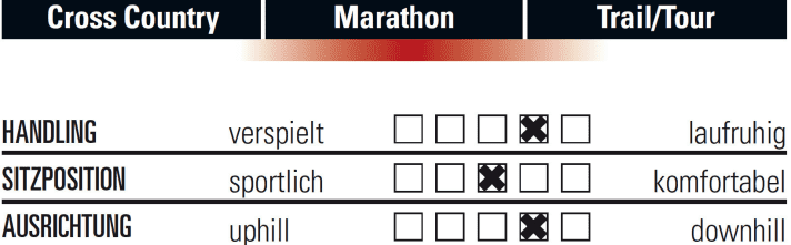   The handling of the Giant Anthem Advanced Pro 29 at a glance.
