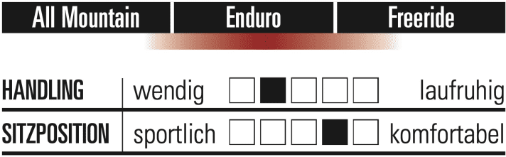 Pivot Firebird Team - Characteristics