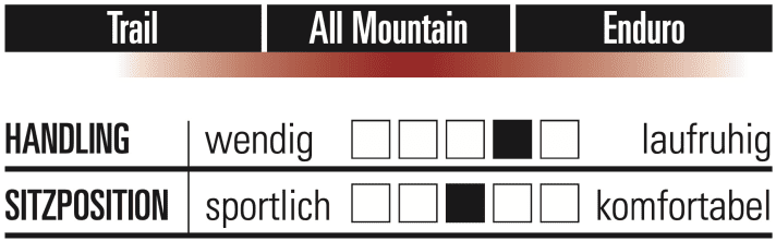 Santa Cruz Hightower - Characteristics